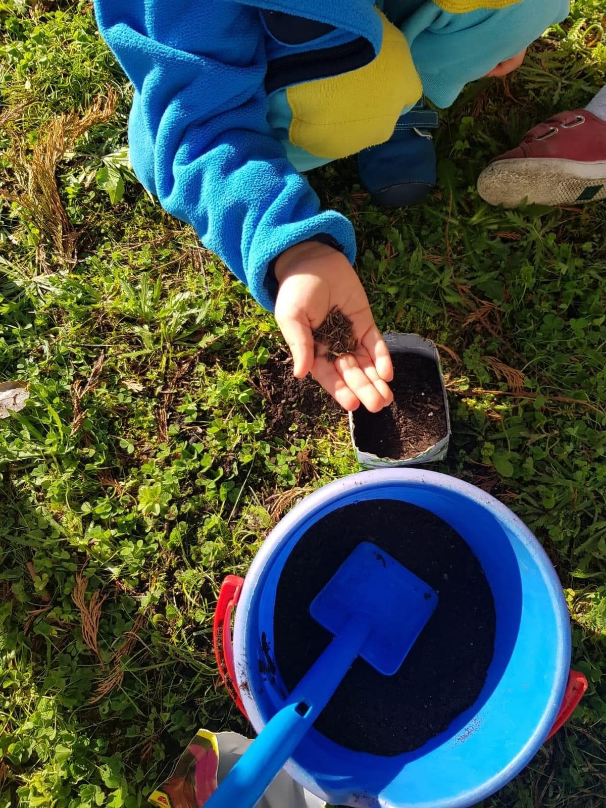 TALLER DE NATURALEZA - Imagen 2