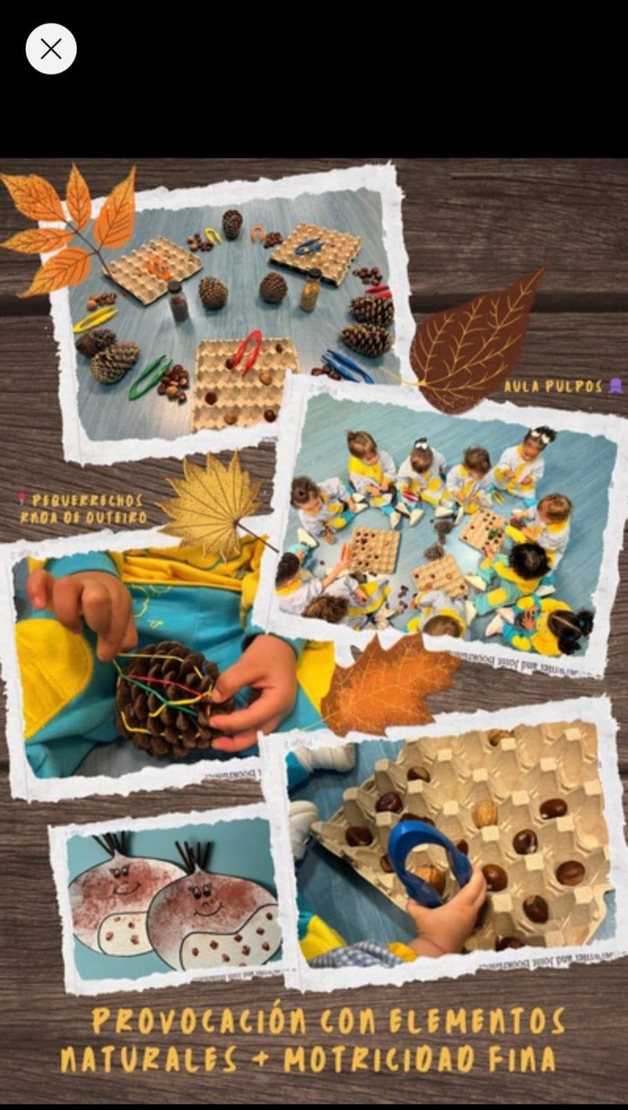 TRABAJAMOS EL OTOÑO - Imagen 1