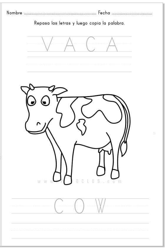 VACA-COW