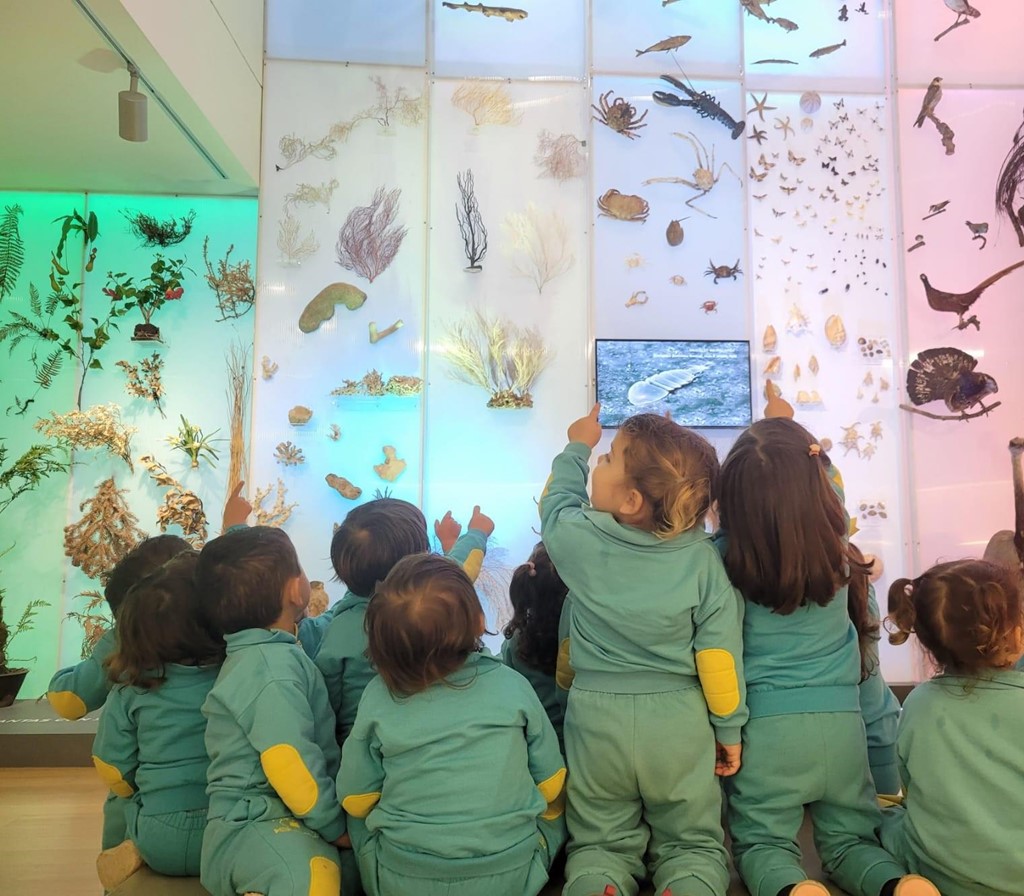 VISITA AL MUSEO DE HISTORIA NATURAL DE SANTIAGO