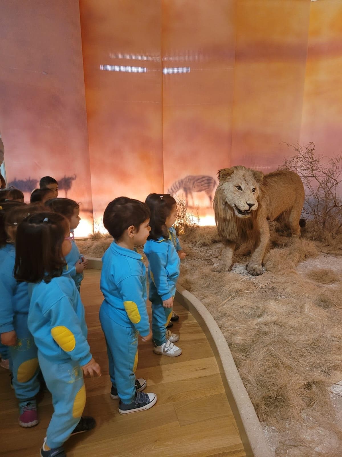 VISITA AL MUSEO DE HISTORIA NATURAL DE SANTIAGO - Imagen 2