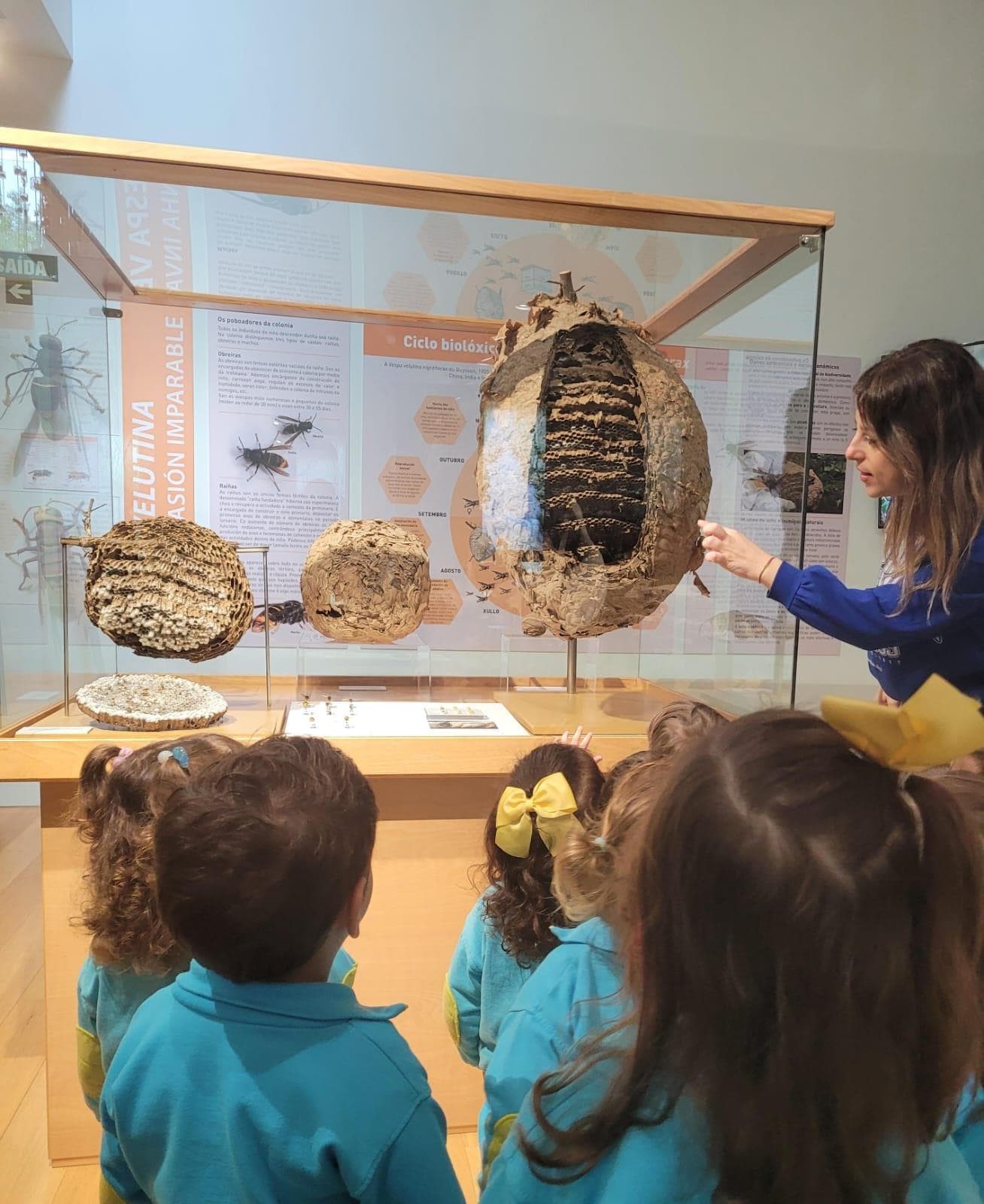 VISITA AL MUSEO DE HISTORIA NATURAL DE SANTIAGO - Imagen 3