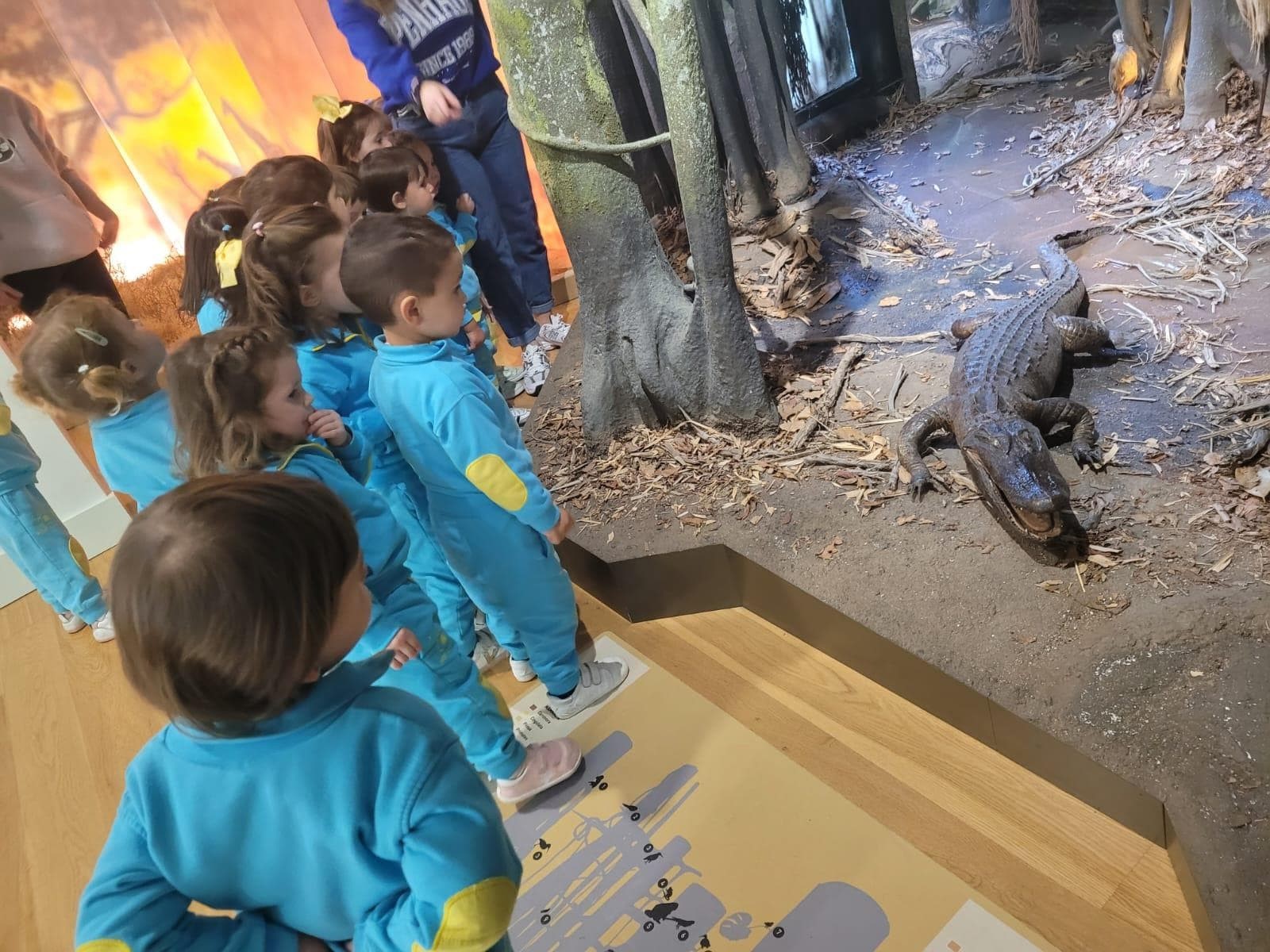 VISITA AL MUSEO DE HISTORIA NATURAL DE SANTIAGO - Imagen 4
