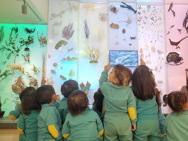 VISITA AL MUSEO DE HISTORIA NATURAL DE SANTIAGO