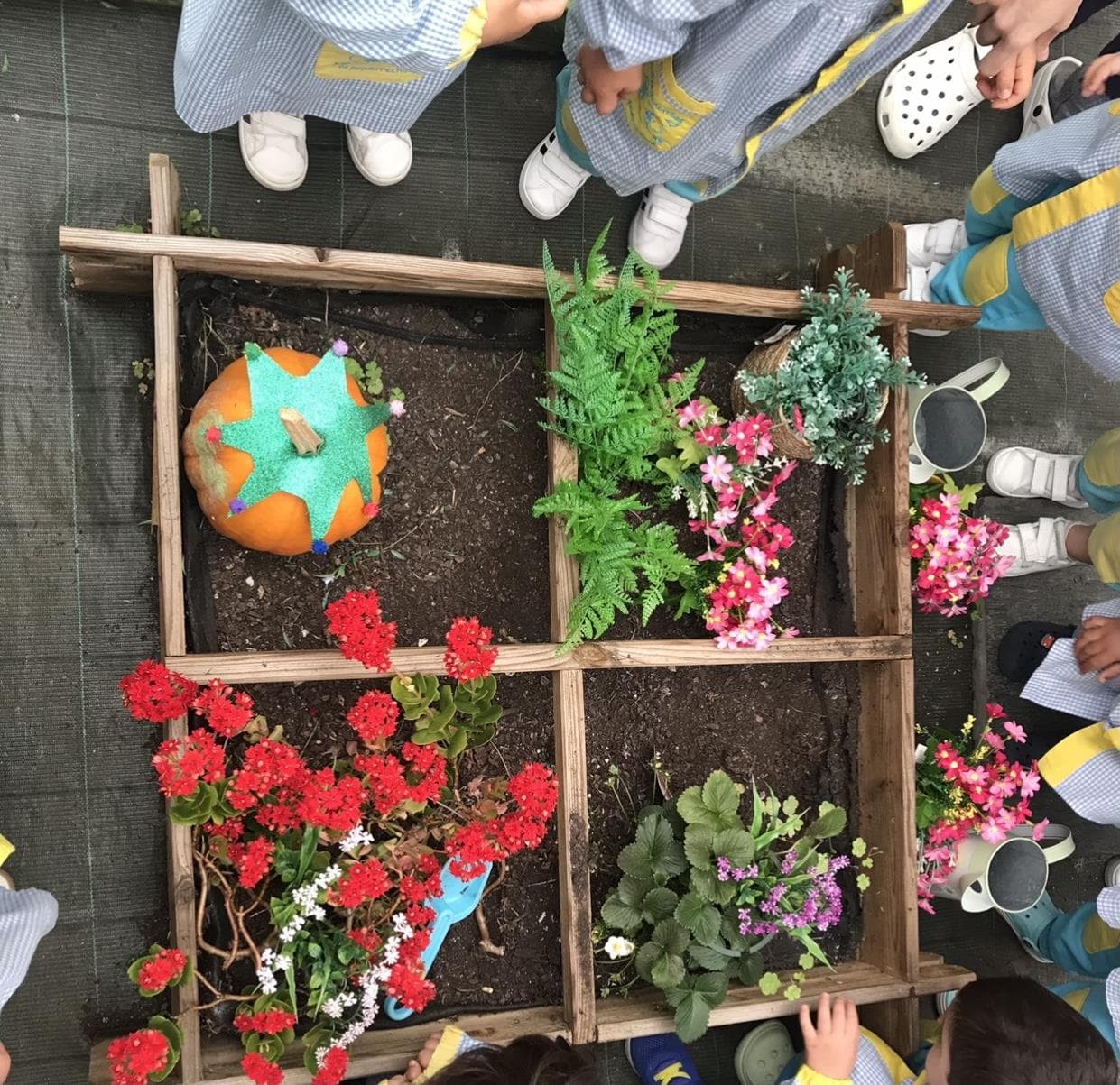 We enjoyed playing in the greenhouse at Zapateira. - Imagen 1